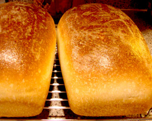 fresh bread from your home