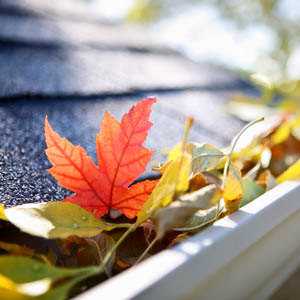 Steps to Winterizing Your Home