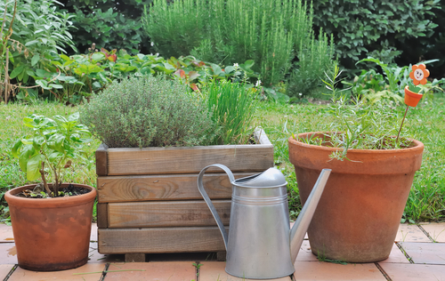 Patio Gardens