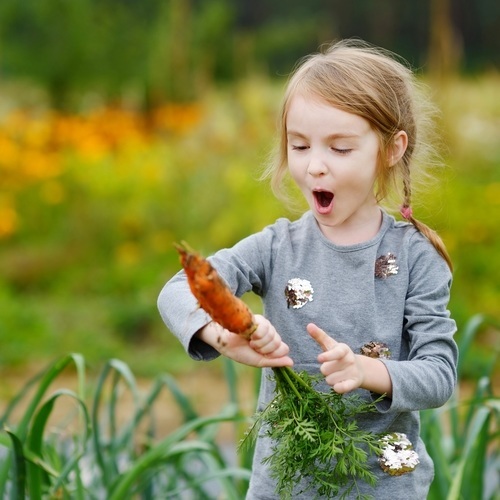 Grow Veggies at Home