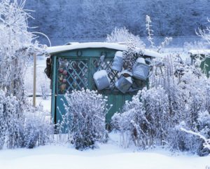 Get Your Garden Ready for Winter