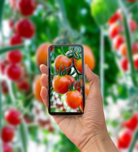 Best Garden Apps