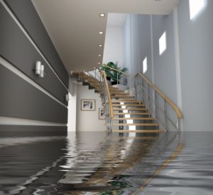 What To Do When Your House Floods