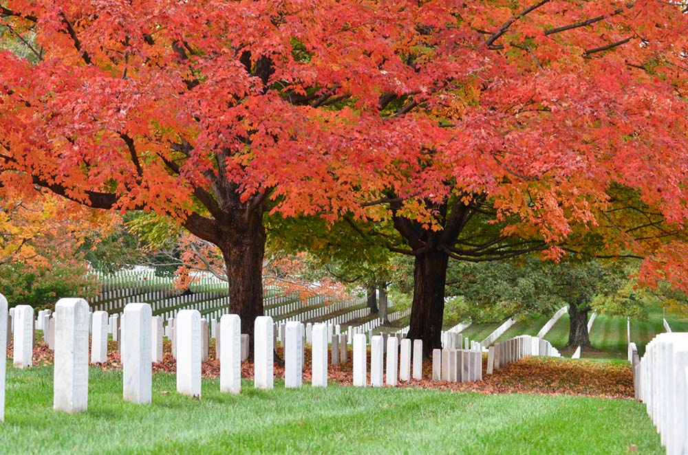 Buying a Home Next to a Cemetery